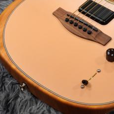Fender FINNEAS Signature Acoustasonic Player Telecaster, Rosewood Fingerboard, Cappuccino Fade 【傷有特価】_3