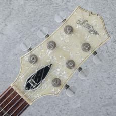 Collings 290 Doghair 2008_8