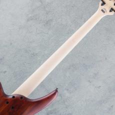 Jackson JS Series Spectra Bass JS3V Laurel Walnut Stain 【S/N ICJ2413165】_7