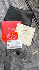 Fender American Professional II Stratocaster Maple Fingerboard Miami Blue 2020_10