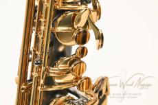 CannonBall T5-BiceL_3