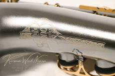 CannonBall T5-BiceL_6