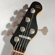 Black Smoker TM BETA-J5 MED DB/MH【鼈甲PG】【現物写真】【4.16Kg】_6