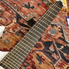 Ibanez RGR621G-WH_5