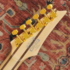 Ibanez RGR621G-WH_10