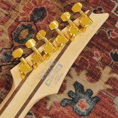 Ibanez RGDR61G-WH_10