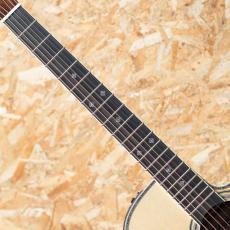 Takamine RNV460C_6