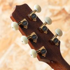Takamine RNV460C_9