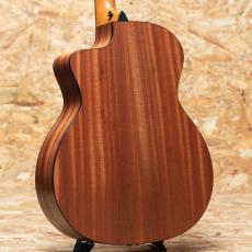 Taylor 114ce Special Edition_2