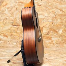 Taylor 114ce Special Edition_4