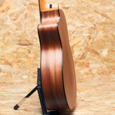 Taylor 114ce Special Edition_5