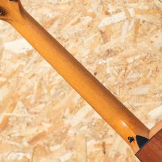 Taylor 114ce Special Edition_7