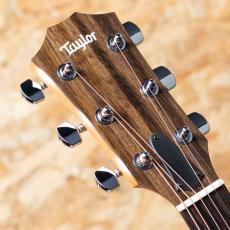 Taylor 114ce Special Edition_8