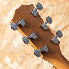 Taylor 114ce Special Edition_9