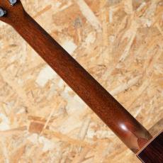 Morris S-101 III 2022_5