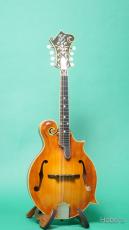 Gibson F-5L_2
