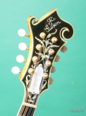 Gibson F-5L_3