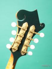 Gibson F-5L_4