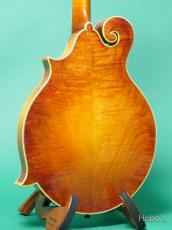 Gibson F-5L_5