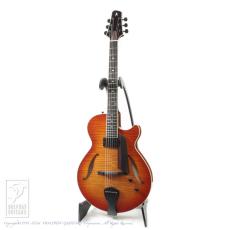 Kikuchi Guitars MF15S (Violin Burst)_2