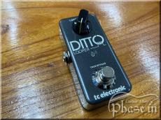 tc electronic DITTO LOOPER