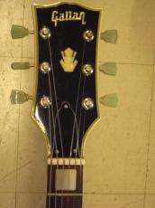 Gallan SG MODEL_6