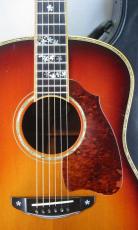 Terry's Terry TJ-100 Custom /　Head Sakura Inlay・Abalone Trim and Rosette・Sakura Inlay Ebony Fingerboard & Bridge・ Premium Spruce Top・Premium　Rosewood Side and Back 【With Original Case】 2008年製_2