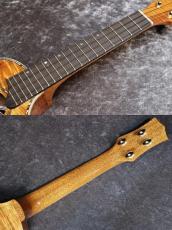KIWAYA  【USED】KPC-5KC/E【コンサート・カッタウェイ】【ハワイアンコア単板】【限定モデル】【池袋店在庫品】_9