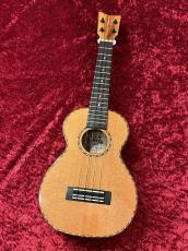 Kamaka HF-2DC【2021年製中古】【シダートップコンサートサイズ】_2