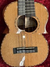 Kamaka HF-2DC【2021年製中古】【シダートップコンサートサイズ】_6