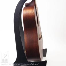 Martin D-15M StreetMaster_5