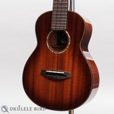 Singer RC1M_2
