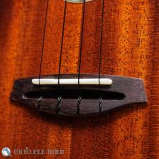 Singer RC1M_3