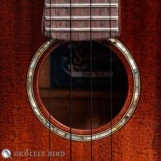 Singer RC1M_4