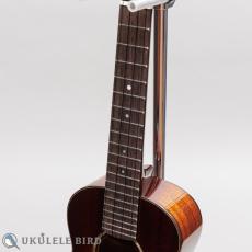Singer RC1M_5