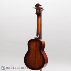 Singer RC1M_12