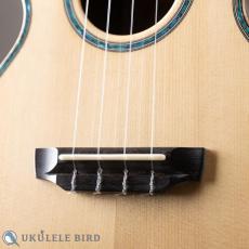 Kawakami NWUT-JA UB5th_3