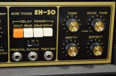 ACE TONE EH-50 BBD ECHO_3