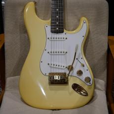 Fender Fender The STRAT / Arctic White Ash/ Rosewood_2