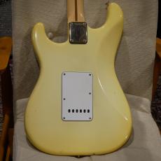 Fender Fender The STRAT / Arctic White Ash/ Rosewood_9