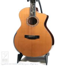 Fonzo Guitar V40 Customize Tiger