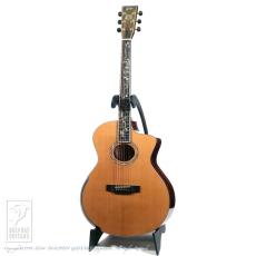 Fonzo Guitar V40 Customize Tiger_2