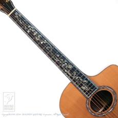 Fonzo Guitar V40 Customize Tiger_5