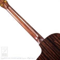 Fonzo Guitar V40 Customize Tiger_6