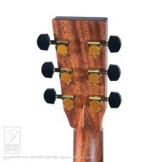 Fonzo Guitar V40 Customize Tiger_8
