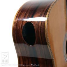 Fonzo Guitar V40 Customize Tiger_10