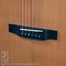 Fonzo Guitar V40 Customize Tiger_12
