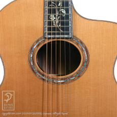 Fonzo Guitar V40 Customize Tiger_13