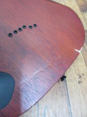 Ibanez RGAIX6MQM_8