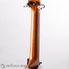 aNueNue aNN-Black Whale E_9